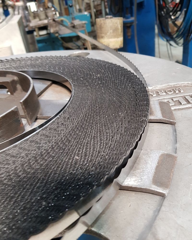 Untitled design - 2022-04-26T011225.203