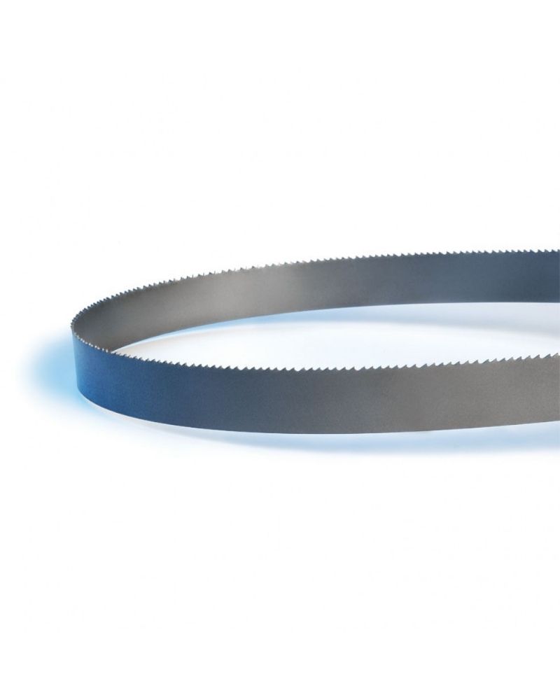 Untitled design (35)